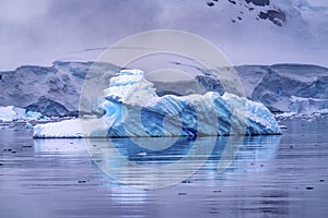 Snowing Floating Blue Iceberg Reflection Paradise Bay Skintorp Cove Antarctica