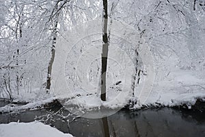 Snowing landscape