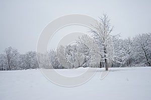 Snowing landscape