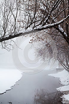 Snowing landscape in the park