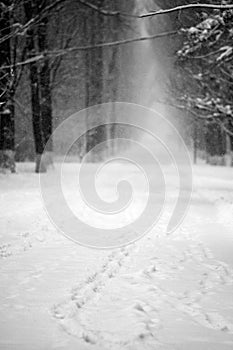 Snowing landscape in the park