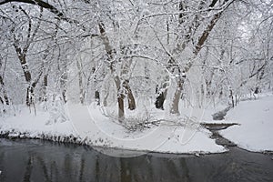 Snowing landscape in the park