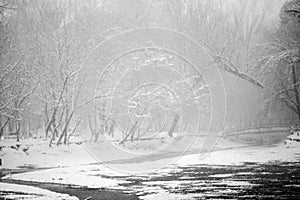 Snowing landscape in the park