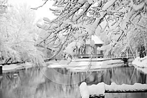 Snowing landscape in the park