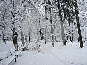 Snowing landscape in the park