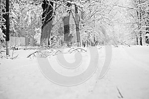 Snowing landscape in the park