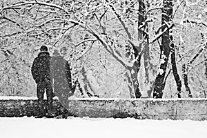 Snowing landscape in the park with lovers