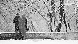 Snowing landscape in the park with lovers
