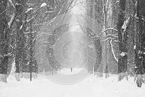 Snowing landscape in the park with people passing by