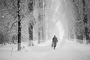 Snowing landscape in the park with people passing by