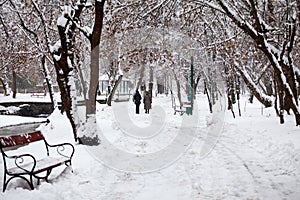 Snowing landscape in the park with people passing by