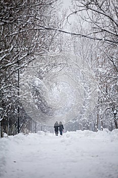 Snowing landscape in the park with people passing by