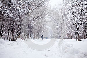 Snowing landscape in the park with people passing by