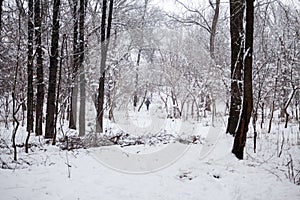 Snowing landscape in the park with people passing by