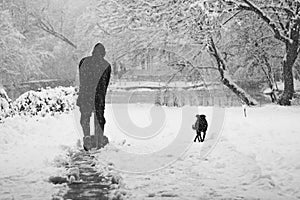 Snowing landscape in the park with person cleaning the alleys and dog