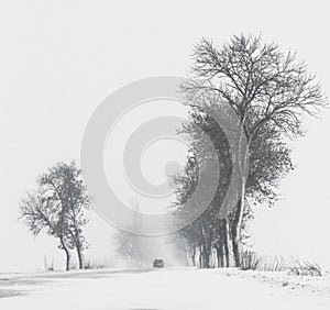 Snowing landscape on the road