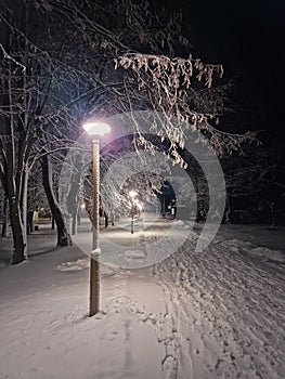 Snowing night scene in the winter park with a view to the street lamp light and snowflakes falling