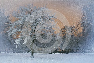 Está nevando afuera 