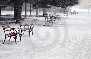 Snowing in the park photo