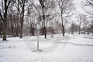 Snowing in the park