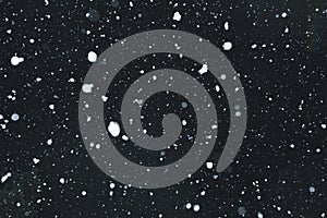 Snowing with snowflakes on black background