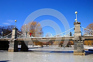 Snowing winter at Boston, Massachusetts, USA