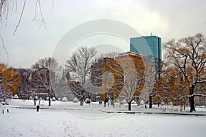 Snowing winter at Boston, Massachusetts, USA