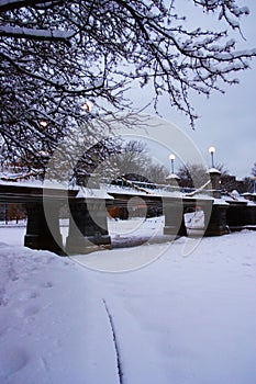 Snowing winter at Boston, Massachusetts, USA