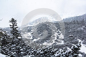 Snowing winter landscape in Tatra mountains, Slovakia