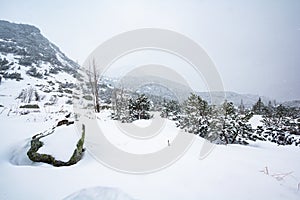 Snowing winter landscape in Tatra mountains, Slovakia