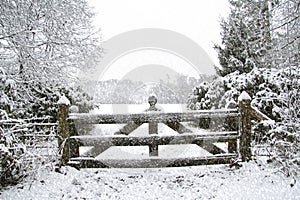 Snowing in Winter in the Netherlands