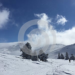 snowland photo