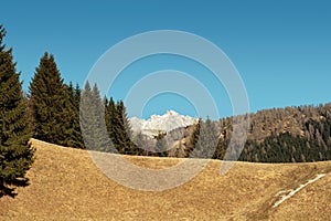 Snowless alp with mountains in the background at spring