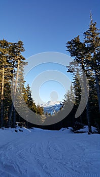 Snowmachine trail down the mountain