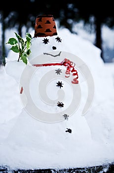 Snowman