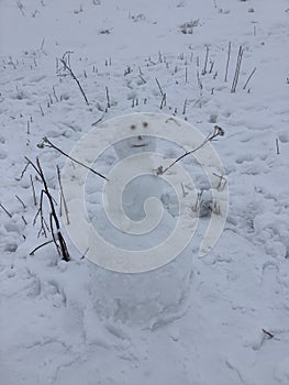 a snowman with arms made of dried flowers