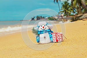 Snowman on the beach. Merry Christmas. Selective focus