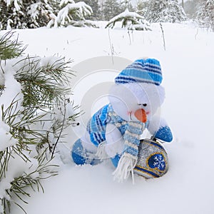 Snowman - Christmas Stock Photos