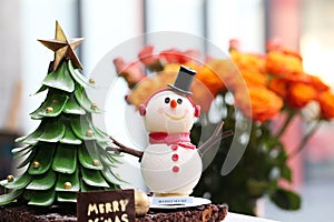 Snowman and Christmas Tree Cake