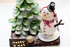 Snowman and Christmas Tree Cake