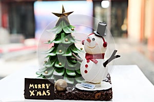 Snowman and Christmas Tree Cake