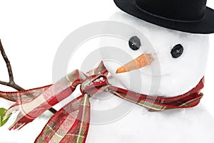 Snowman Closeup