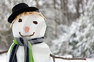 Snowman closeup