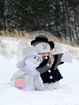 Snowman couple sight seeing