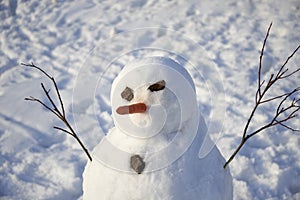 Snowman creature standing in winter landscape