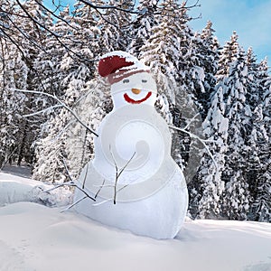 Snowman 3d illustrated photo