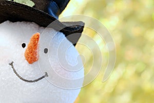 Snowman face close up
