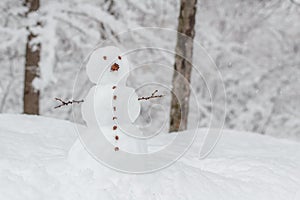 Snowman in a forest