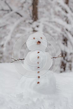 Snowman in a forest