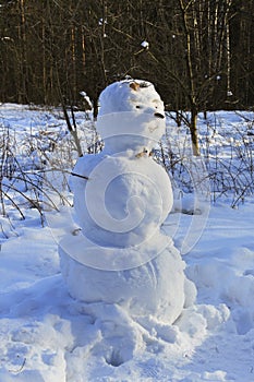 The snowman in the forest